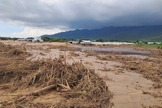 Khởi tố vụ án vỡ hồ chứa nước trên núi Tân Lai tỉnh Lâm Đồng