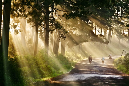 Dự báo thời tiết ngày 15/11: Tây Nguyên, Nam Bộ có nắng đẹp