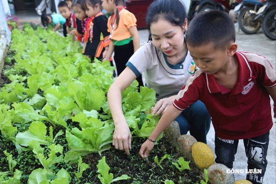 Bộ Giáo dục và Đào tạo yêu cầu dừng sáp nhập trường học vượt quy mô cho phép