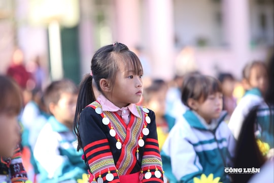 Chiếc thước nhựa trong phút nóng giận và giới hạn nghề giáo