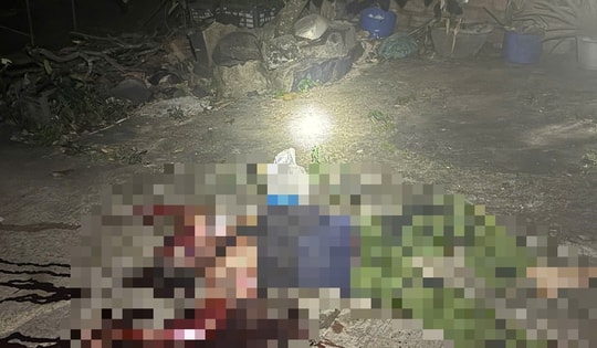 Đắk Lắk: Mâu thuẫn trong lúc ăn nhậu, đối tượng cầm dao đâm hàng xóm tử vong tại chỗ