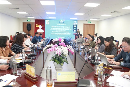 Việt Nam đặt mục tiêu cải thiện hơn 13.000 ha sinh cảnh biển nhờ dự án chống rác nhựa