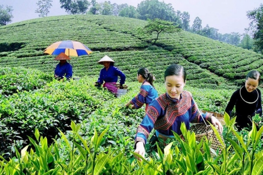 Lào Cai kiến tạo mô hình nông thôn 'xanh - số - hiện đại' giai đoạn 2026 - 2030