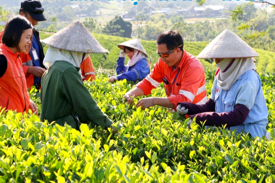 Truyền thông- "trụ cột mềm" trong công tác giảm nghèo bền vững