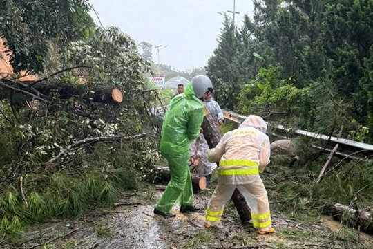 Đèo Ngoạn Mục nối Khánh Hòa - Lâm Đồng đã được thông xe