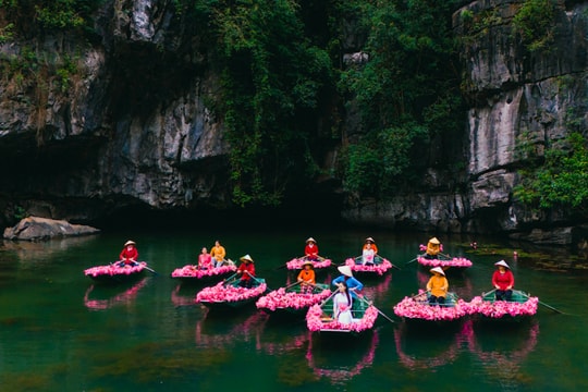 Tam Cốc vào mùa hoa súng: Vẻ đẹp mộng mị giữa lòng cố đô