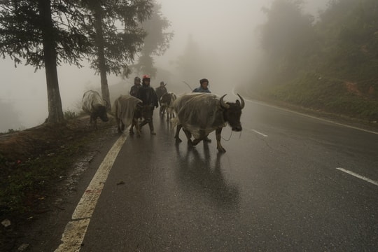 Lào Cai: Hỏa tốc chỉ đạo phòng chống mưa rét đậm, hủy bắn pháo hoa Lễ hội Festival Sông Hồng 2025
