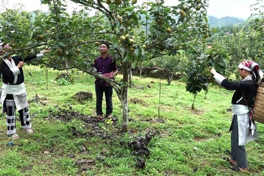 Lào Cai: Chuyển đổi số và đổi mới sáng tạo – Động lực mới cho giảm nghèo bền vững