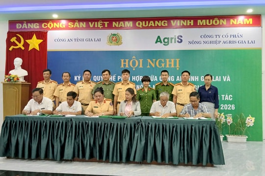 Gia Lai: Kiên quyết xử lý nghiêm tình trạng xe chở hàng quá khổ, quá tải