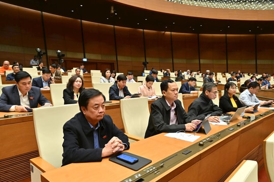 Tiếp tục đẩy mạnh và nâng tầm ngoại giao đa phương