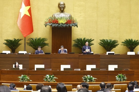 Sáng nay (19/11), Quốc hội thảo luận ở tổ về tháo gỡ vướng mắc trong thi hành Luật Đất đai