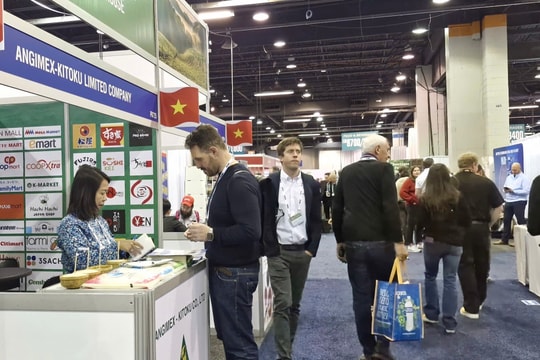 Hàng Việt gây sốt ở Bắc Mỹ: 70% doanh nghiệp được yêu cầu gửi mẫu ngay buổi đầu