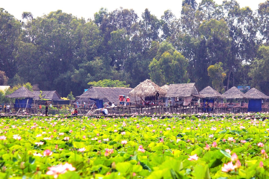 Ứng dụng công nghệ 4.0 để phát triển du lịch thông minh tại Đồng Tháp