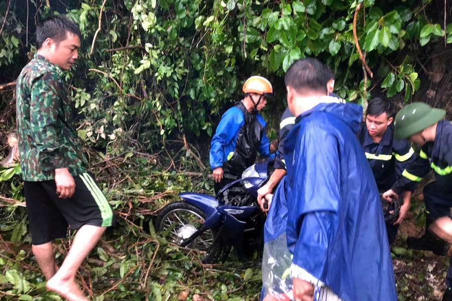 Hai bố con ở Nghệ An thoát chết sau khi bị cây to gãy đè lên người