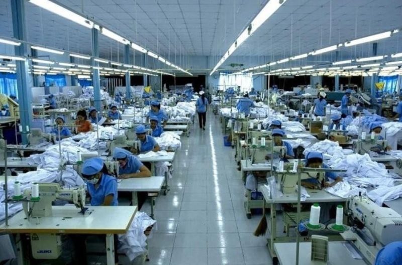 Gilimex (GIL) chậm kế hoạch năm 2024, nộp gần 4 tỷ đồng do vi phạm về thuế