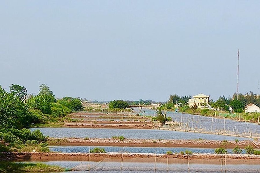 Nam Định: Thu hồi hơn 21.000m2 đất Cồn Xanh do vi phạm