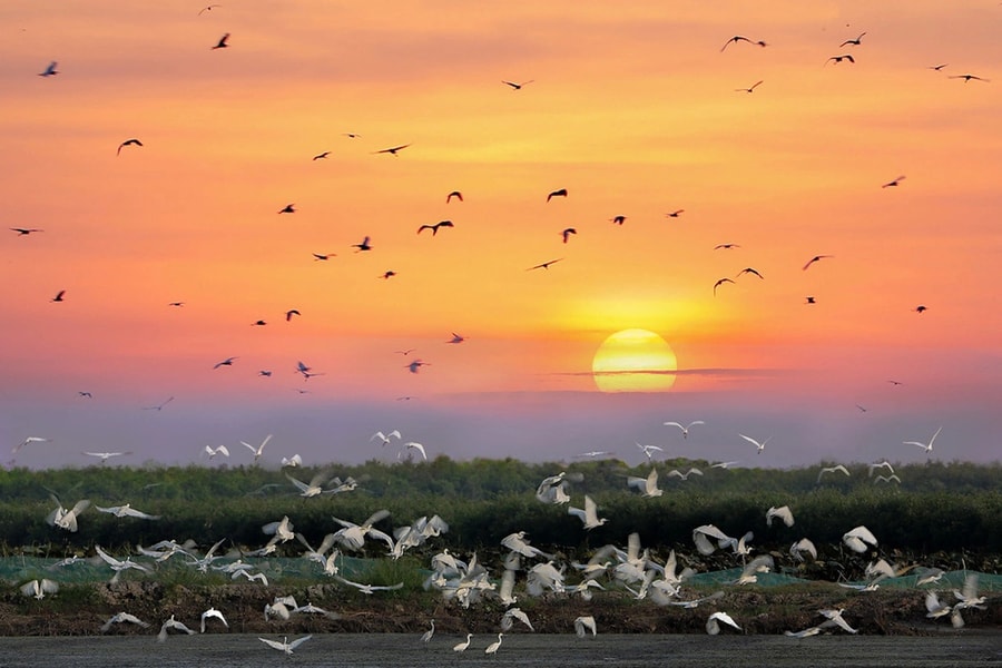 Long An miễn giảm phí vào cổng nhiều điểm du lịch