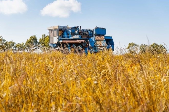 Nga vẫn là nhà cung cấp lúa mì hàng đầu thế giới