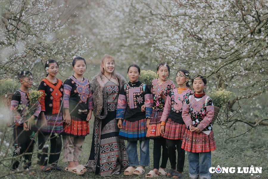 Đến Mộc Châu 'lạc mình' vào mùa hoa khoe sắc, quả chín hồng