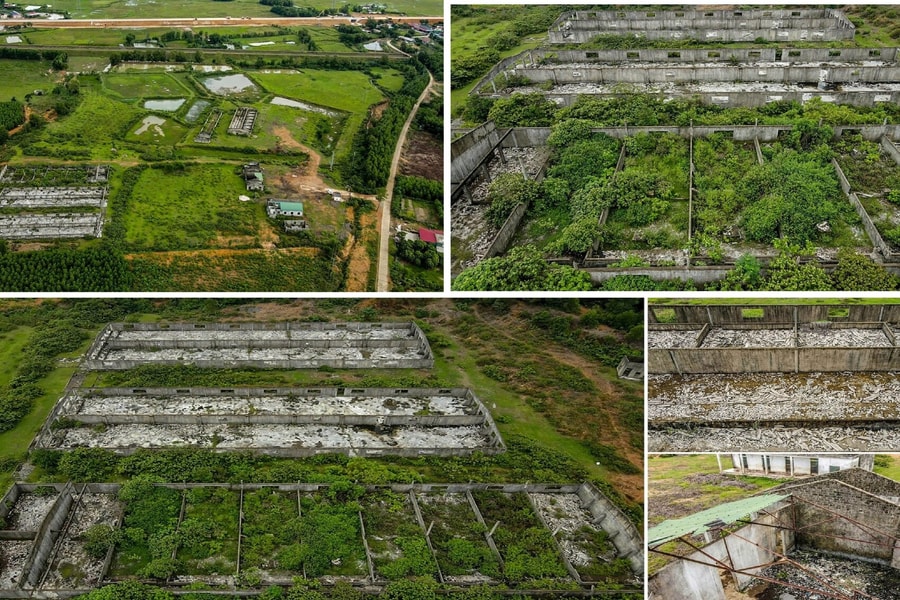 Cần sớm có phương án xử lý trung tâm sản xuất giống chăn nuôi 20 tỷ đồng bỏ hoang ở Hà Tĩnh