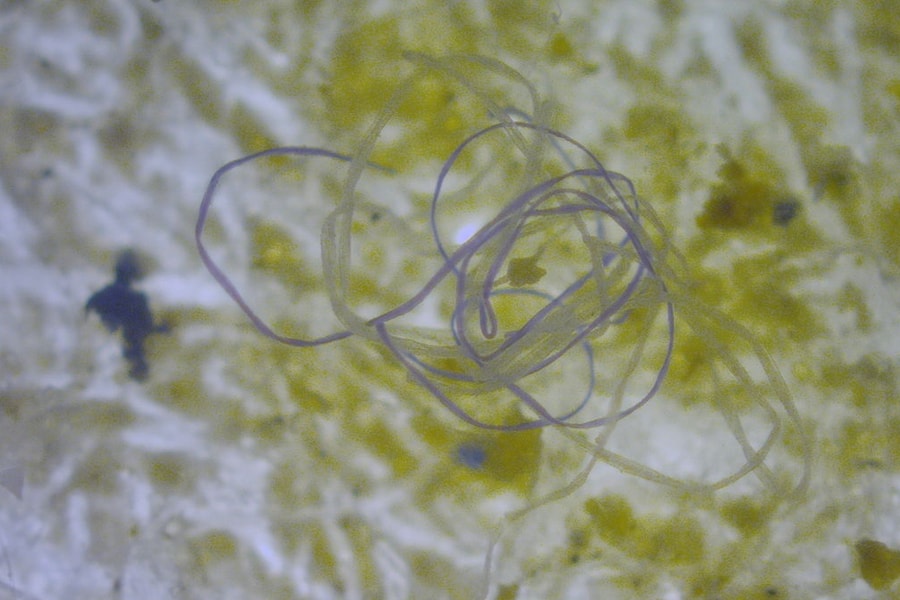 Sử dụng bọt biển để giải quyết ô nhiễm vi nhựa trong nguồn nước