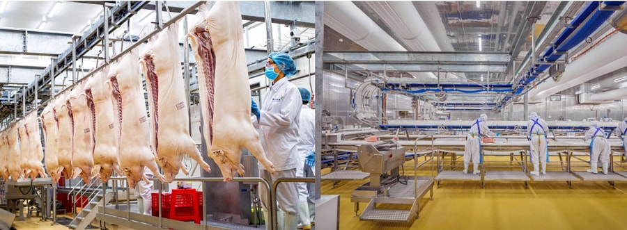 Yếu tố tạo đà cho lợi nhuận của Masan MEATLife trong cuối năm 2024