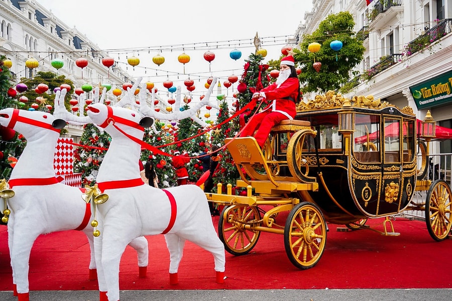 Danko City - Rộn ràng không khí Giáng sinh với vườn thông khổng lồ đẹp như cổ tích