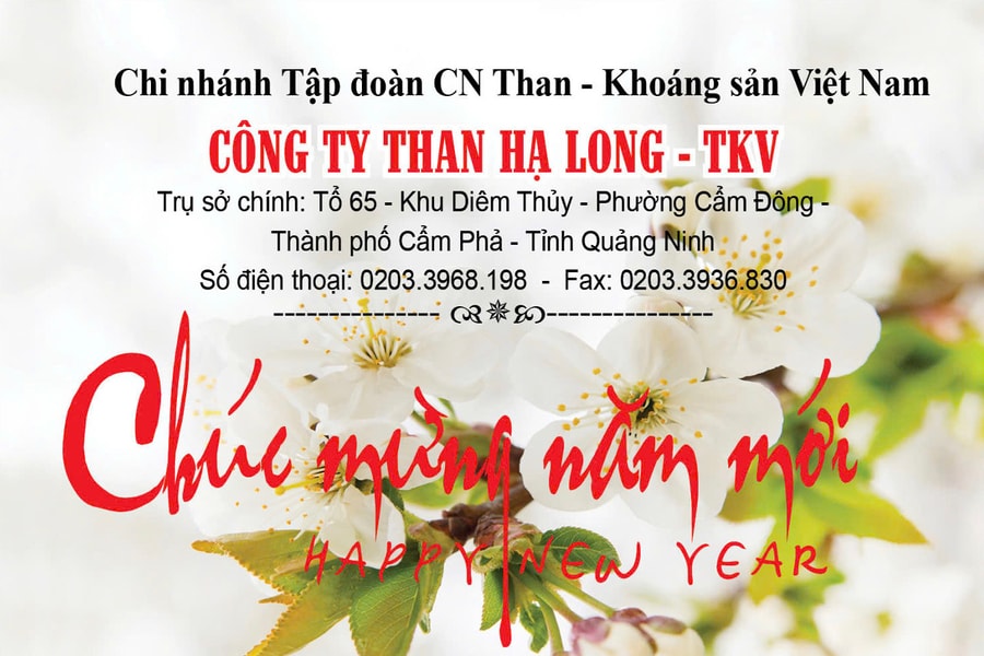 Công ty Than Hạ Long: Gần 30 năm xây dựng và phát triển