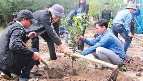 Thái Bình hưởng ứng Tết trồng cây Xuân Ất Tỵ 2025 bằng cây bản địa, có giá trị kinh tế, có cảnh quan đẹp