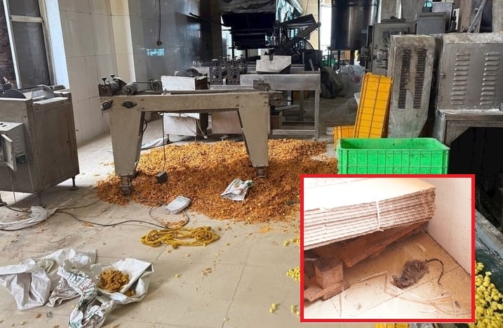Rùng mình xưởng bim bim tại Hà Nội, xác chuột chết bốc mùi trong khu sản xuất