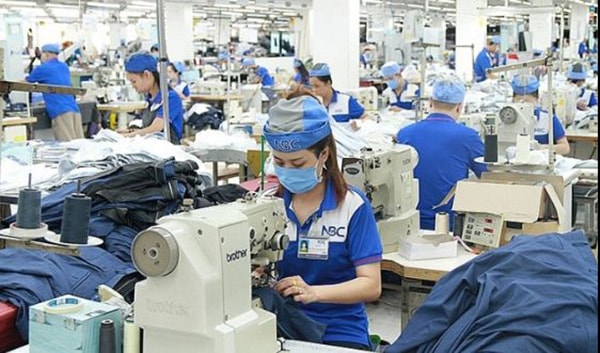 Biên lãi gộp giảm gấp 3 lần gây lỗ 63 tỷ, Dệt May Nam Định (NDT) bị phạt và truy thu thuế gần 200 triệu đồng