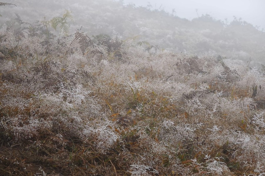 Lào Cai: Băng tuyết phủ trắng núi cao Y Tý, UBND tỉnh chỉ đạo khẩn phòng chống rét hại