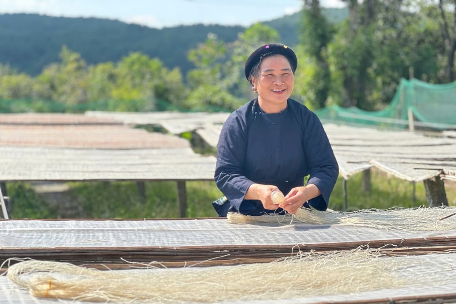 Dự án Hỗ trợ kinh doanh cho nông hộ giúp người dân Cao Bằng chuyển biến về tư duy sản xuất