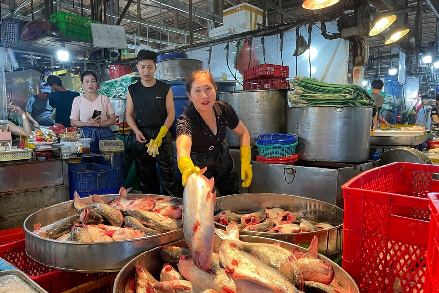 Chợ đầu mối thuỷ hải sản lớn nhất TP HCM nhộn nhịp ngày giáp Tết