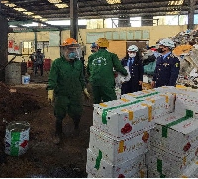 Hải Dương: Ngăn chặn hơn 1,4 tấn táo đỏ khô nhập lậu đã biến chất