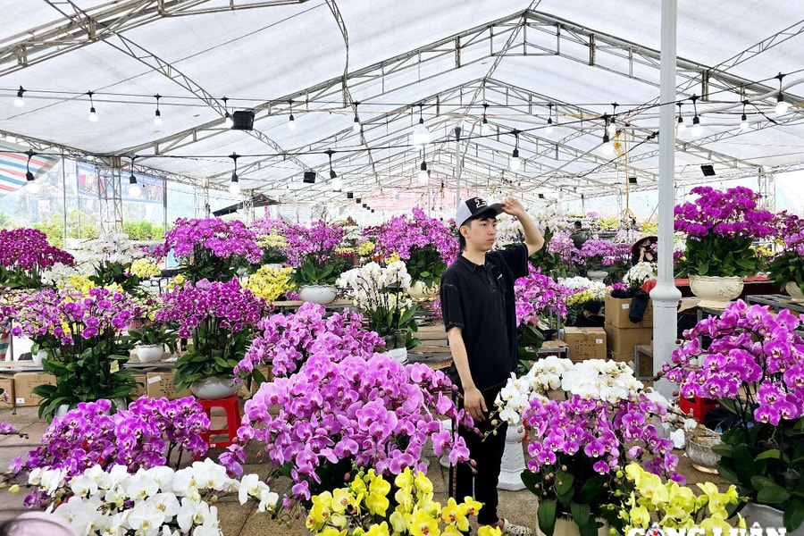 Hầu hết các mặt hàng thiết yếu phục vụ Tết không tăng đột biến