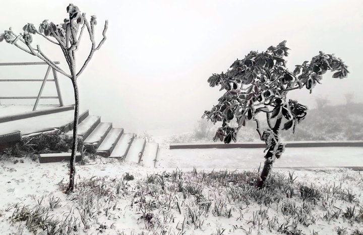 Nhiều nơi ở miền Bắc có tuyết rơi