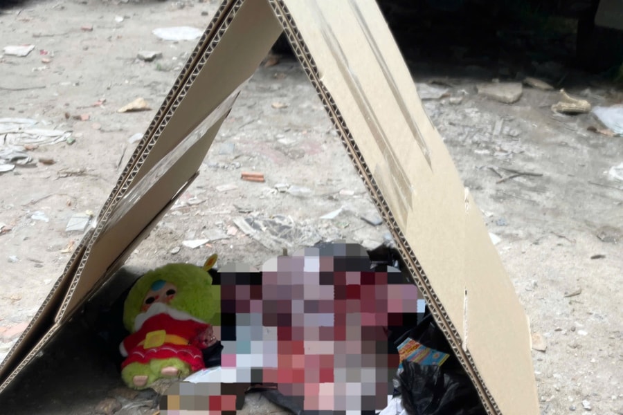 Làm rõ vụ thi thể trẻ sơ sinh bị bỏ rơi ở bãi đất trống ở TP HCM