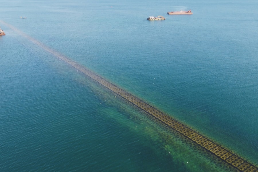 Lợi nhuận DPG tăng 13,4% trong quý IV/2024