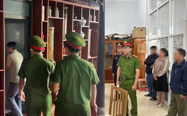 Bắt tạm giam 'ông trùm' gỗ keo tại Quảng Nam tội trốn thuế