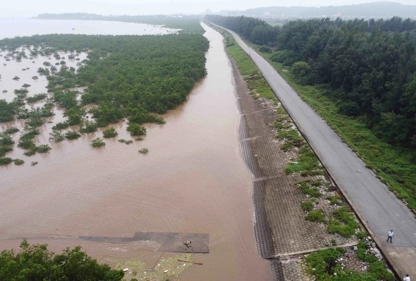 Phát hiện nhiều sai phạm về các dự án đầu tư xây dựng, tu bổ, kiên cố hoá đê điều