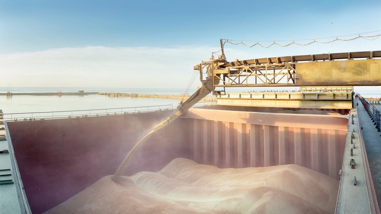 Xuất khẩu lúa mì của Nga đạt mức cao kỷ lục