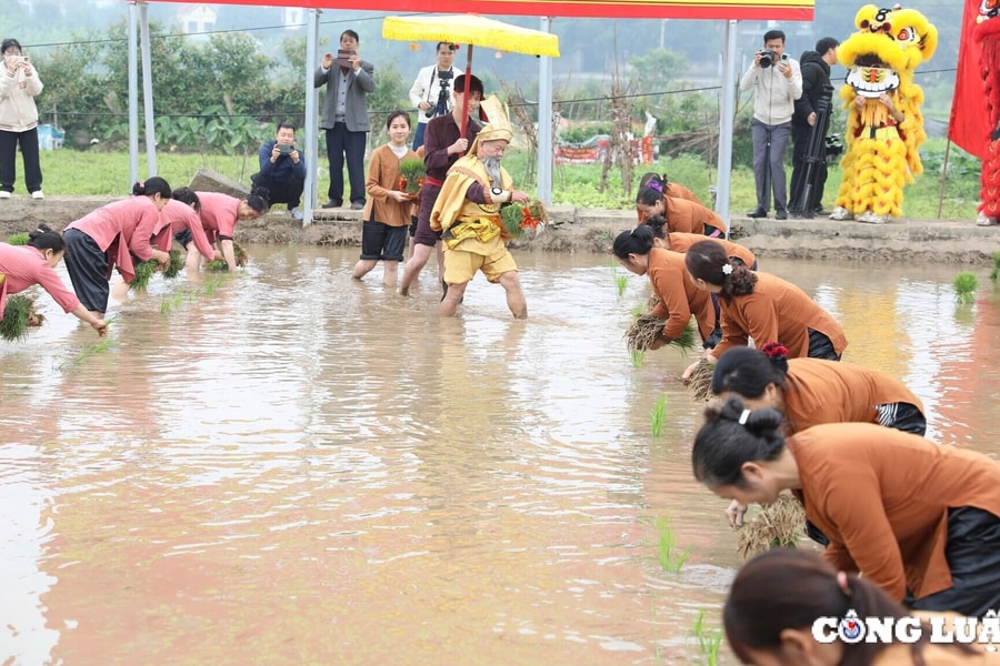 Về Phú Thọ xem tái hiện tích xưa Vua Hùng dạy dân cấy lúa tại lễ hội đầu xuân