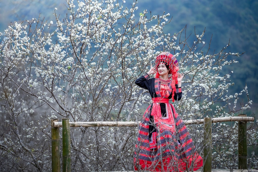 Giới trẻ Tuyên Quang thả dáng bên không gian vườn mận tuyệt đẹp