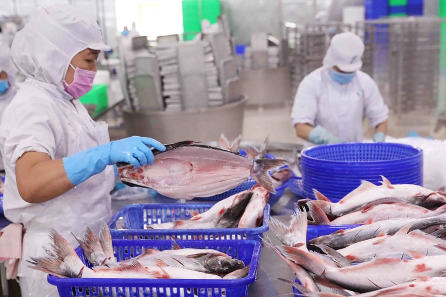 Nắm hàng nghìn tỷ tiền mặt, Vĩnh Hoàn (VHC) vẫn phải thế chấp đất vay thêm 2.085 tỷ