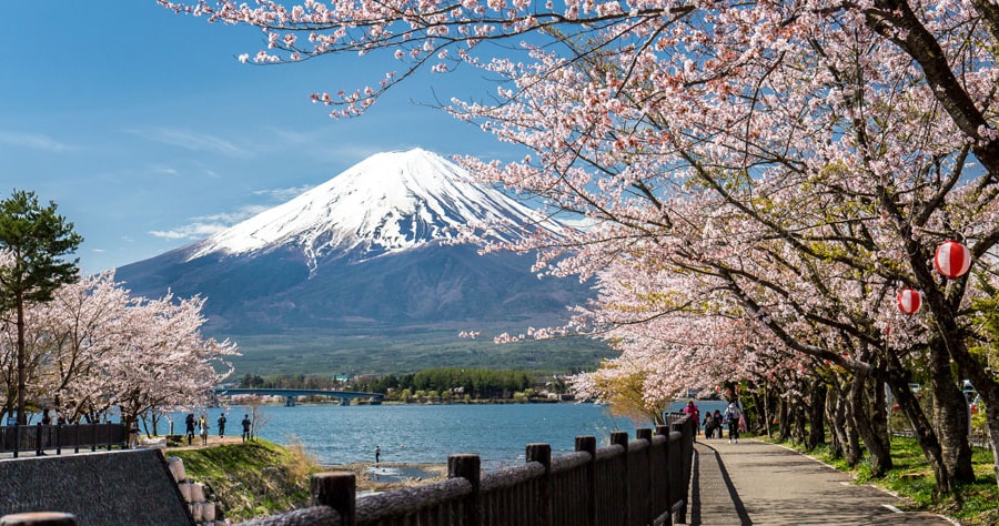 Những điểm ngắm hoa anh đào hot nhất Nhật Bản cho du khách