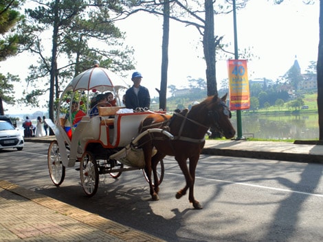 Nhiều sản phẩm du lịch đặc trưng của Đà Lạt phải dừng hoạt động