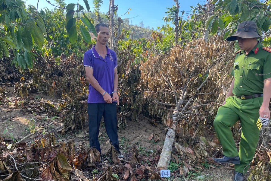 Gia Lai: Khởi tố anh rể chặt hàng trăm cây cà phê, hồ tiêu của em vợ vì ghen tuông