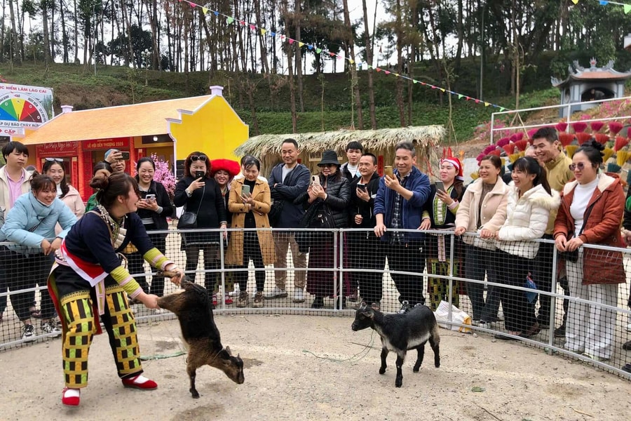 Lào Cai: 2 tháng đầu năm đón hơn 2 triệu lượt du khách