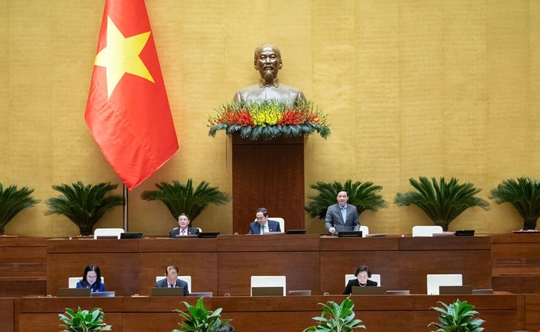 Luật Tổ chức Chính phủ; Luật Tổ chức chính quyền địa phương có hiệu lực thi hành từ ngày 1/3